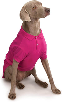 Thumbnail for Raspberry Dog Polo Shirt