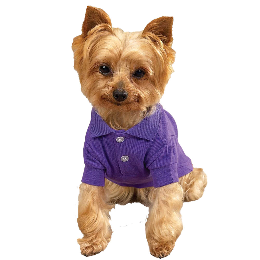 Purple Dog Polo Shirt